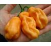 Насіння перцю гострого  Habanero Peach 