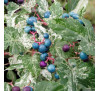 Виноградовник, амелопсис зернистий  (Ampelopsis grandulosa) 