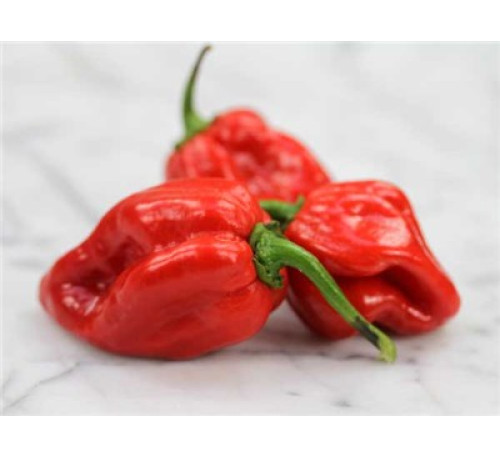 Насіння перцю гострого  Хабанеро Карибський Червоний (Habanero Caribbean red)